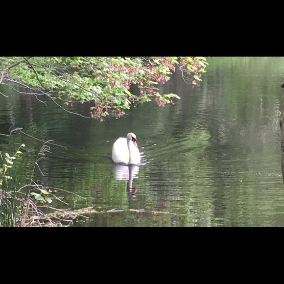 Meet your Posher, Areli - Picture 1 of 1